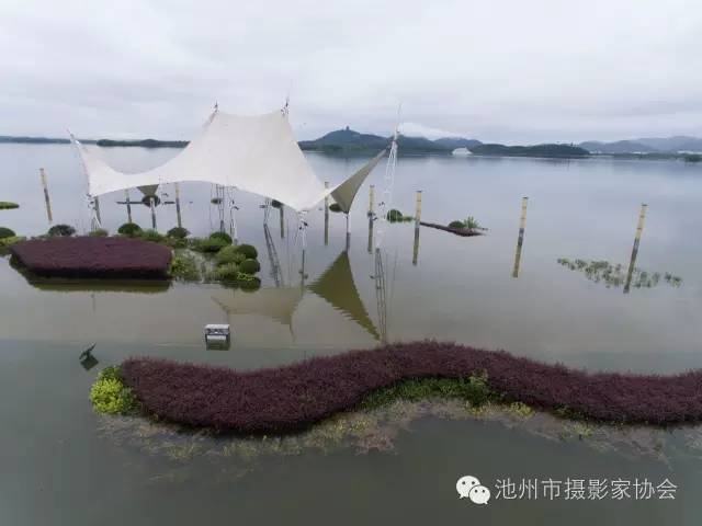 男同志gy www.网站