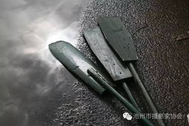 香港女神林