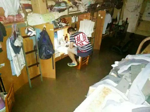 8x8x海外华人免费