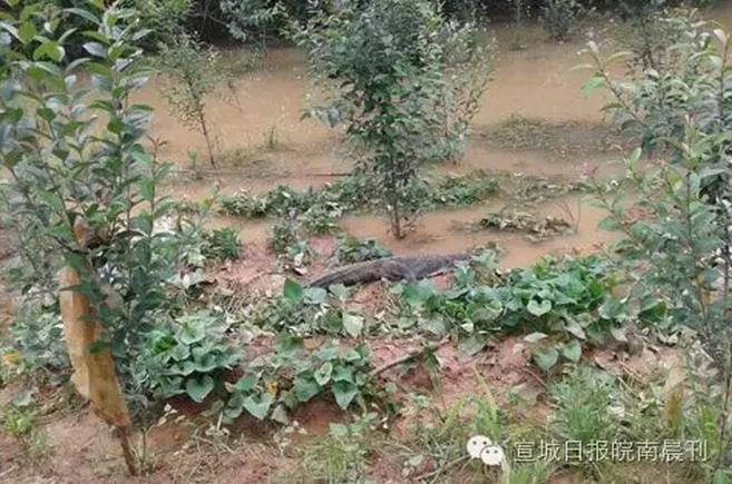老汉色Av永久免费