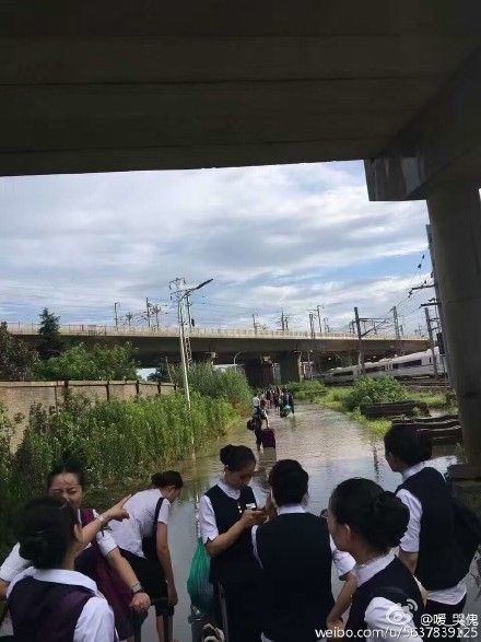 国产乱视频网站