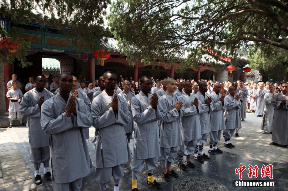免费 成人 电影 下载