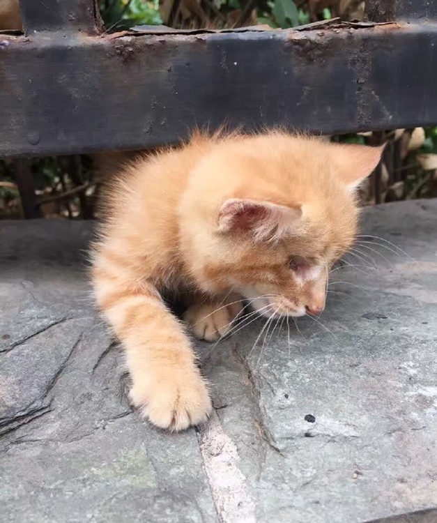 隔壁小姐姐