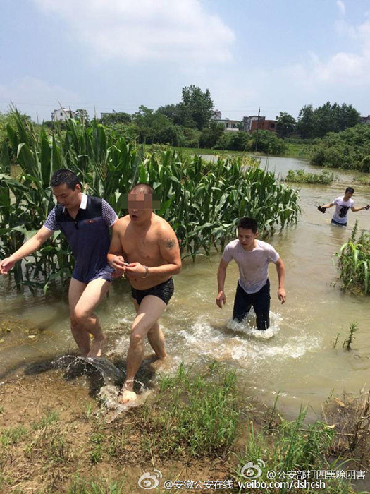 1级黄色片