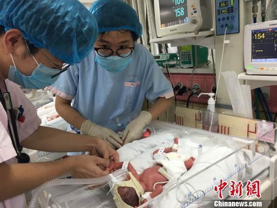 中文 黄色 动漫