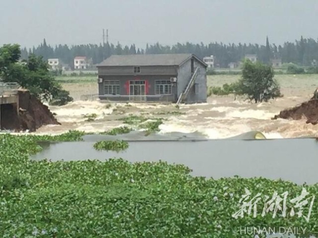 天天操狠狠操