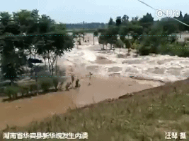 中国   69妇女HD