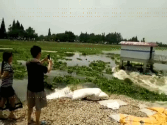 国产 熟女 主播