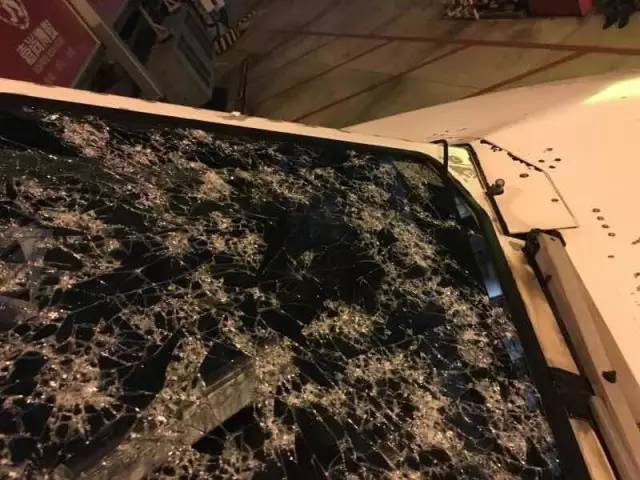 啪啪网站免费
