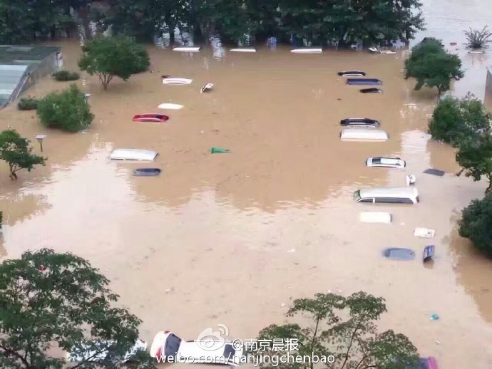 黄色网站7