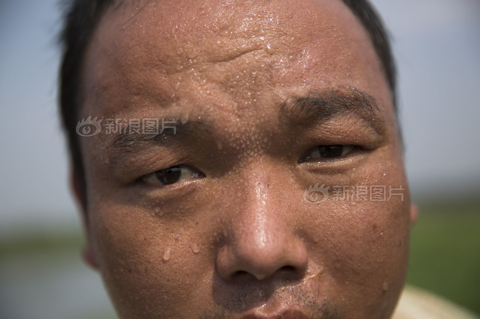 黄色视频网址在线观看