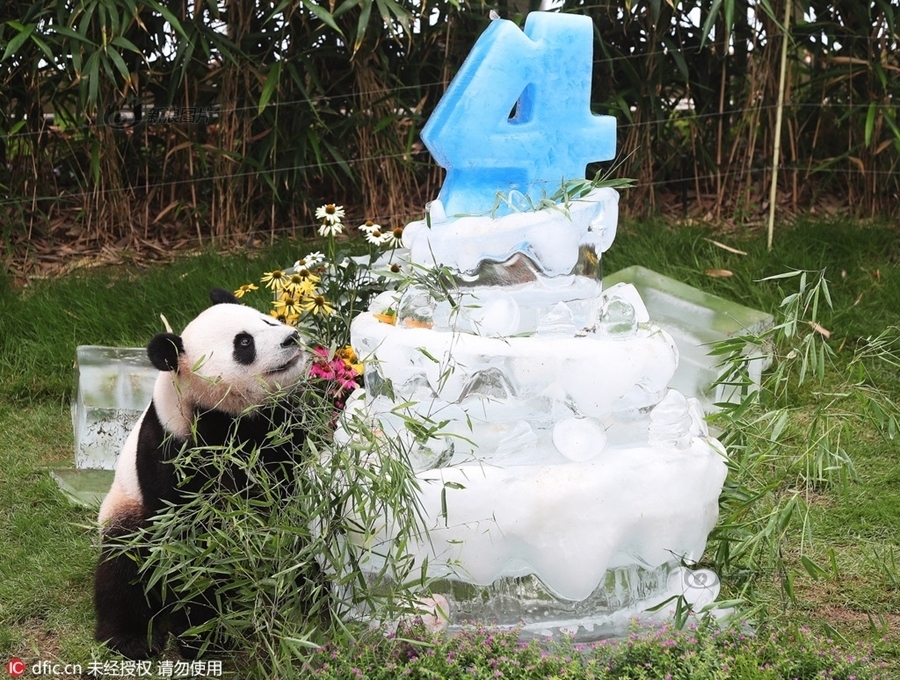 国产精品久久久久久一级毛片