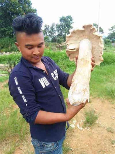 夫妻性生活A级片