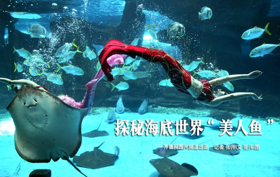 娇小Videodes极品