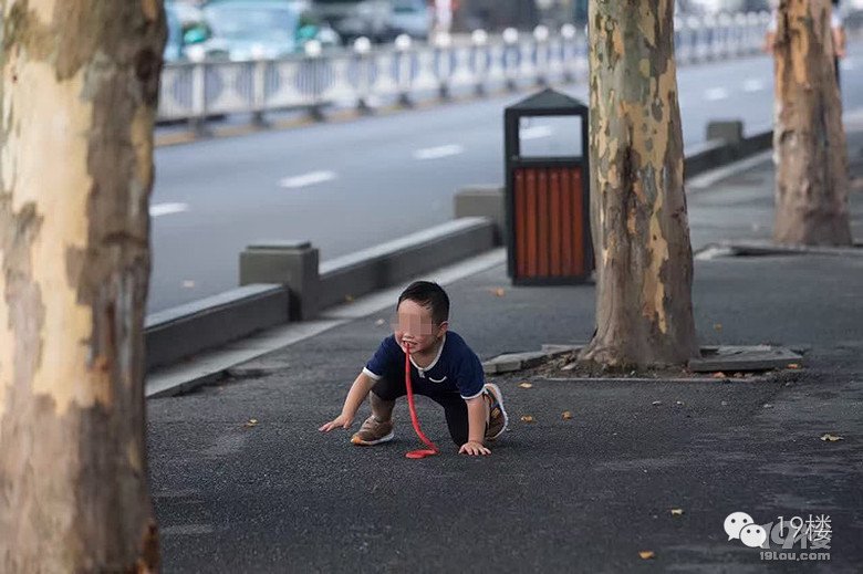 日本火車便當
