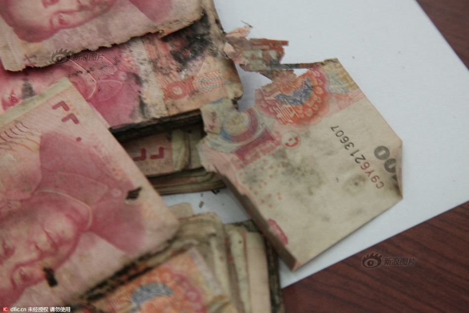内射无码影视
