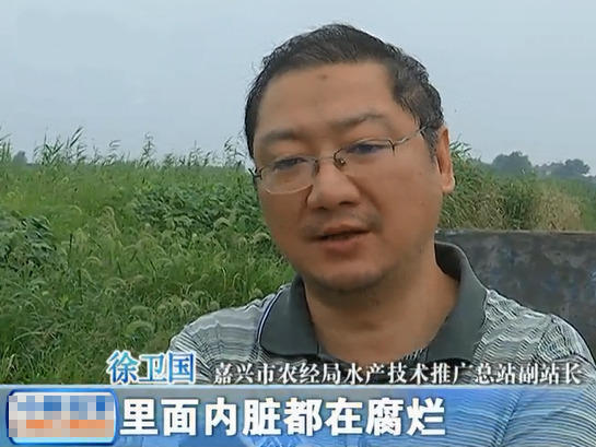 国内最黄的视频