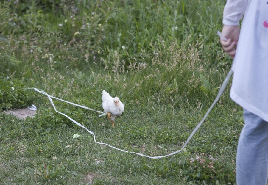 性按摩师满足少妇