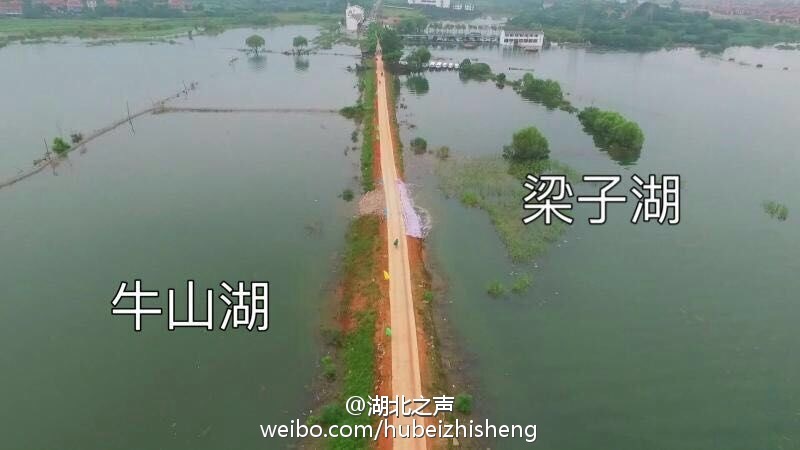 淫秽片国产