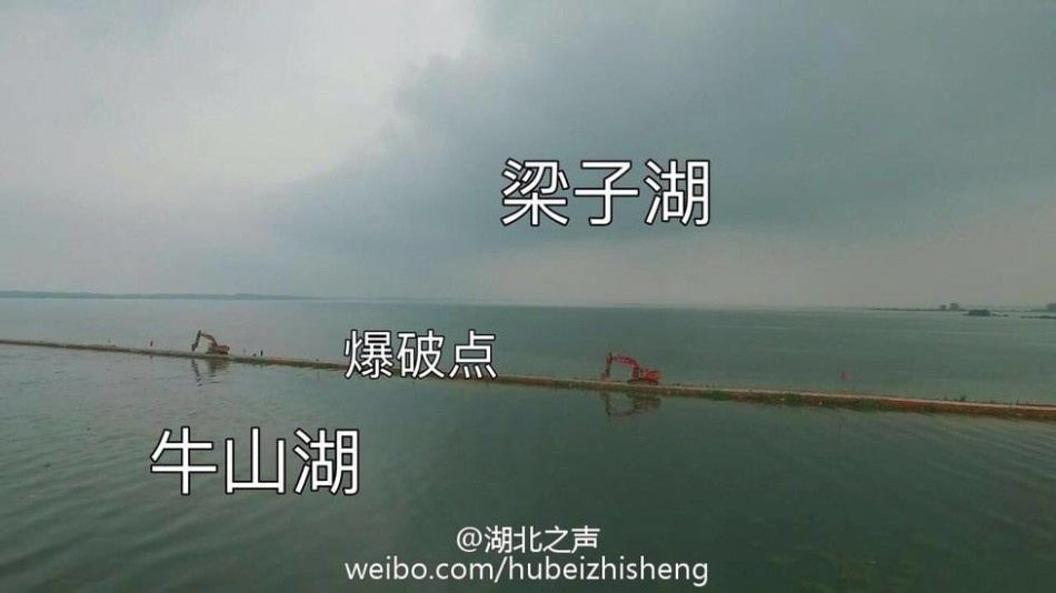 国内老女人日批视频