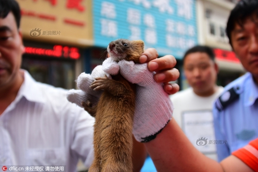 Sm 成人 网站