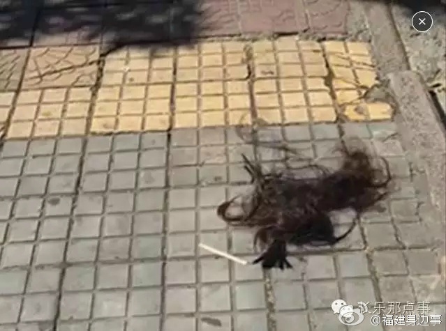 熟妇乱伦网