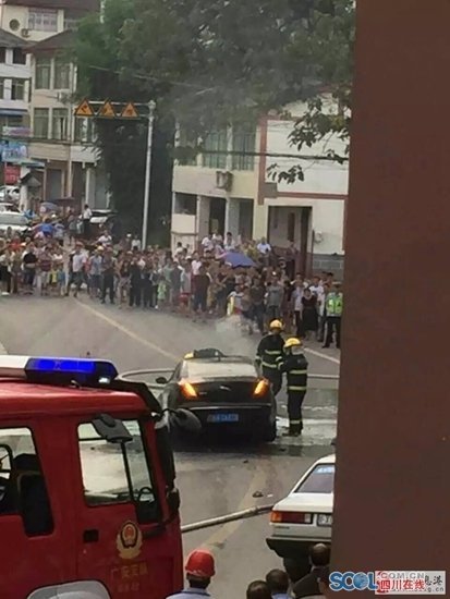 免费一级毛片