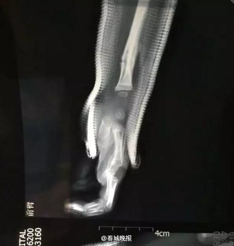 乱片Av网站