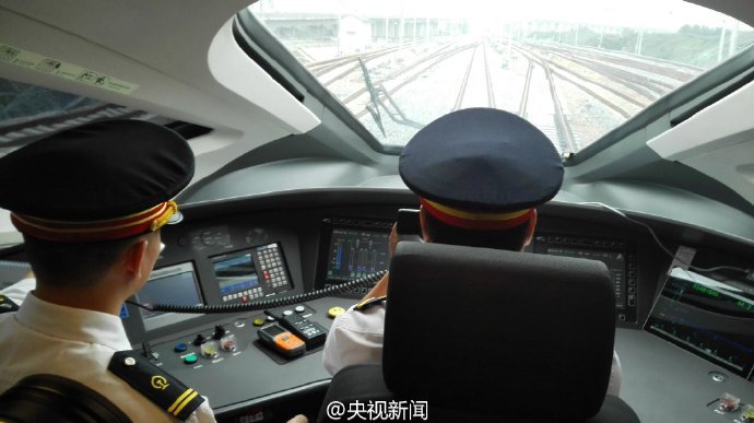 露毛