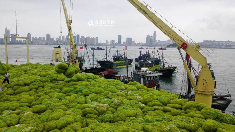 台灣戀足