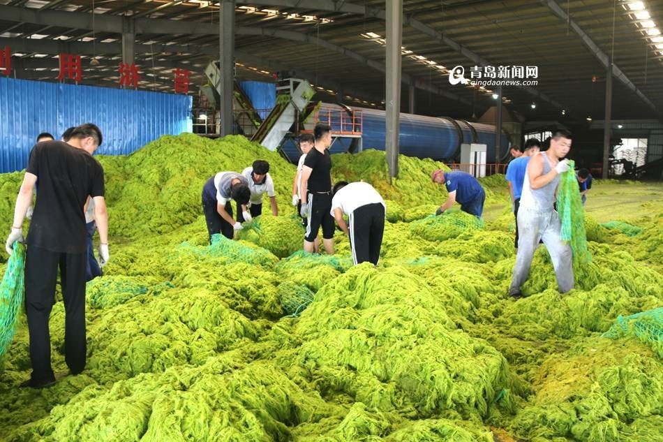 雷电将军被爆 喷白浆