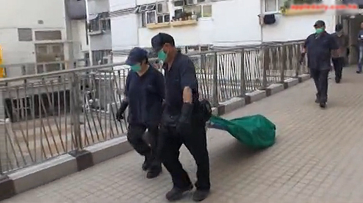 国产又爽 又黄 免费网站