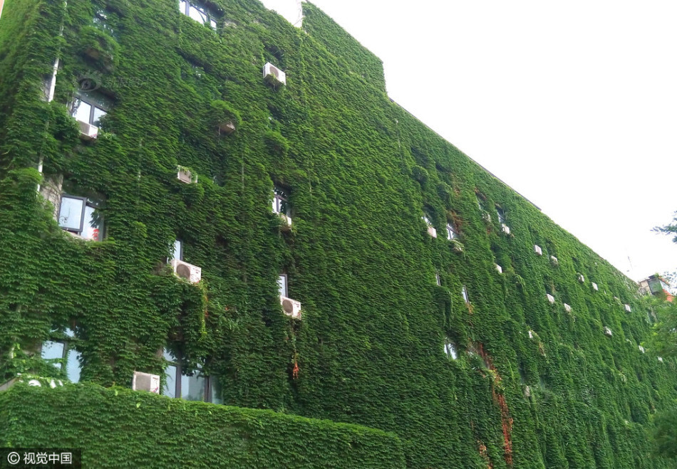 高潮影院