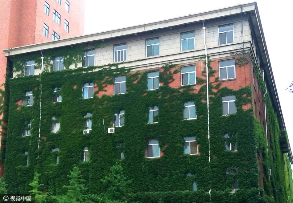 秘 游免费网站入口