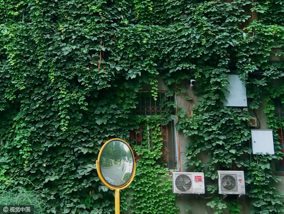 国产精品三级