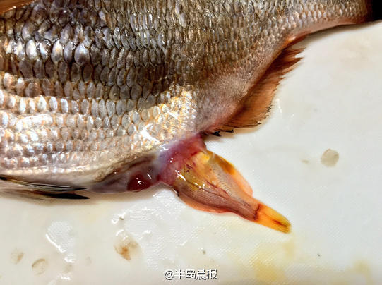 色戒删减的30分钟