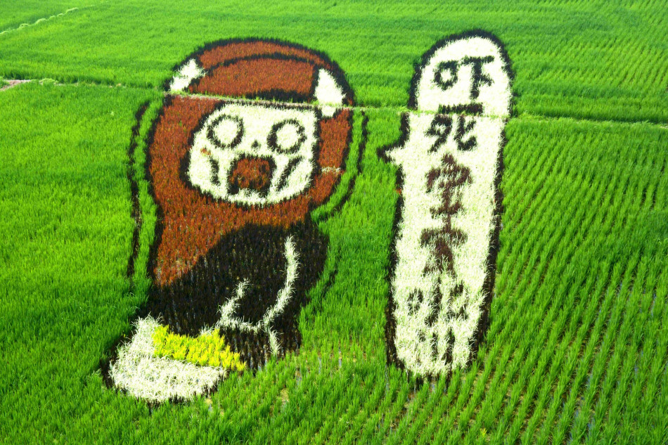 宮地藍