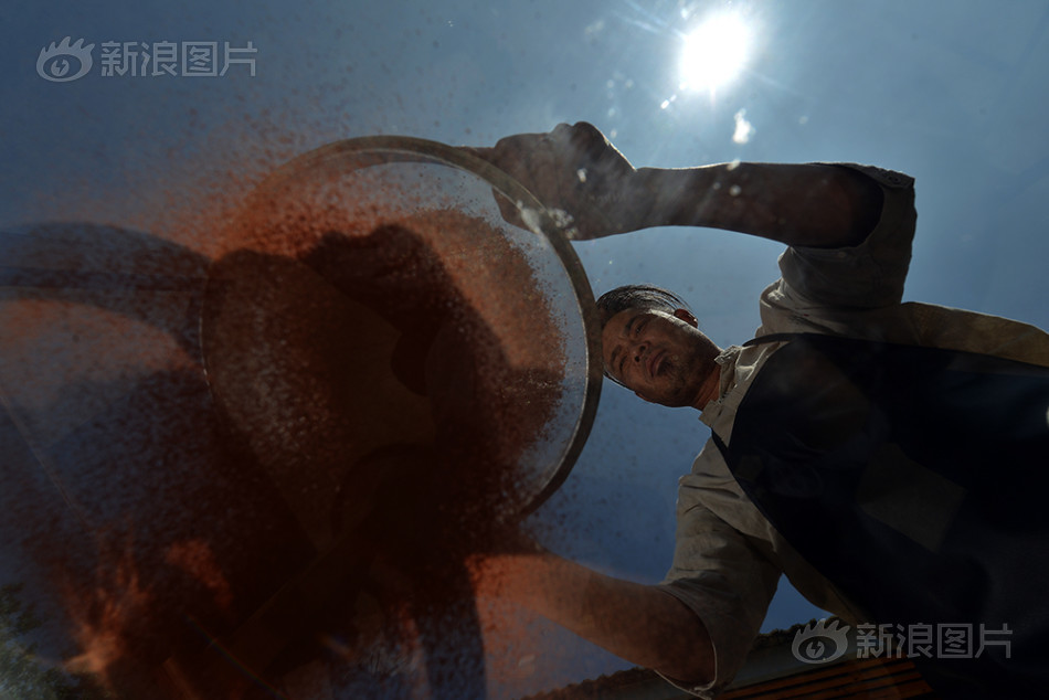 荷兰女同性恋公共场合做性爱视频