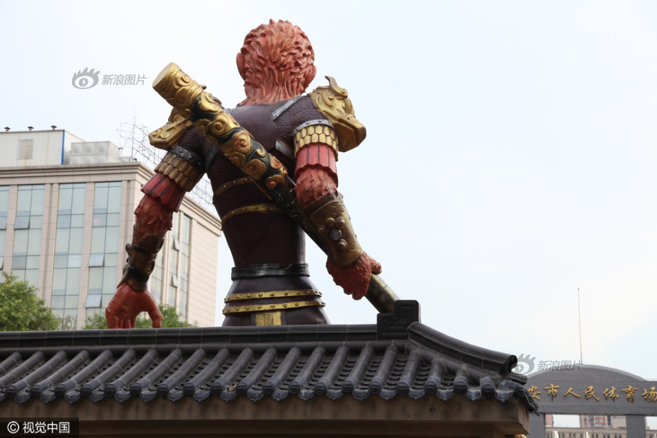 魅影直播间