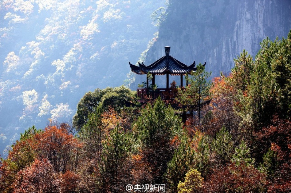 玩东北老熟女棚户区Hd