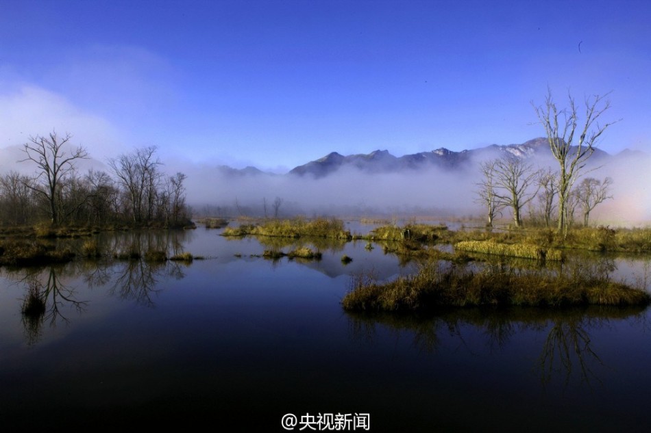 免费黄漫