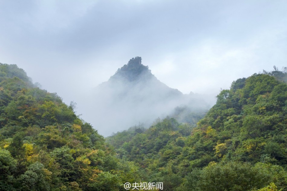 虎白女粉一线天白馒头