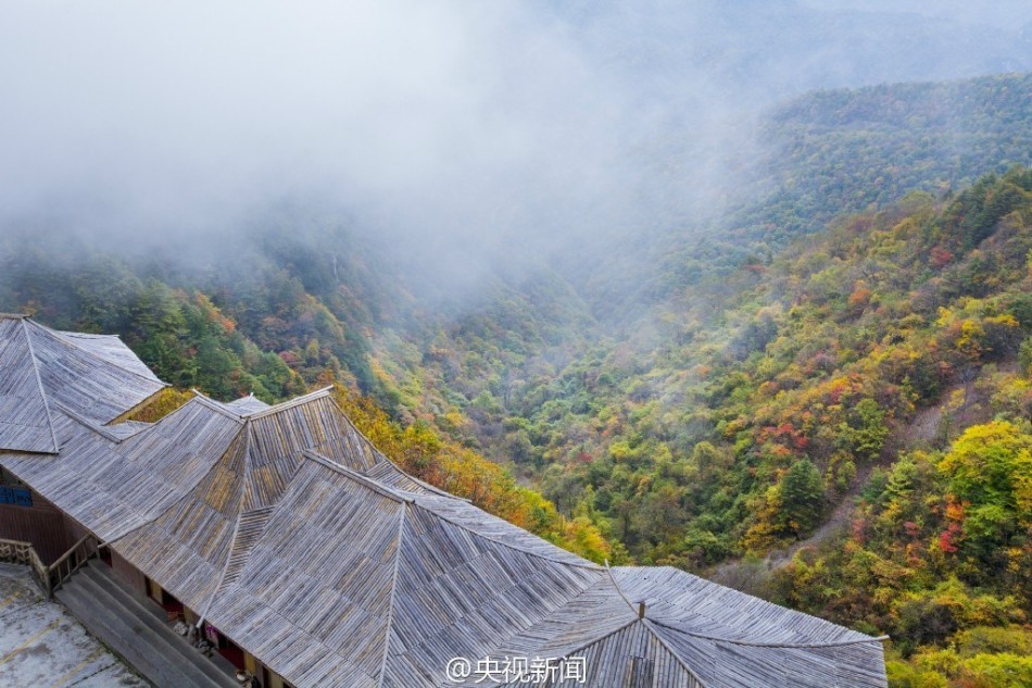 免费 成人 短 片