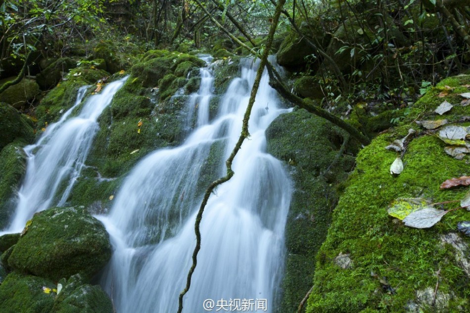 老董征战女神戴若曦
