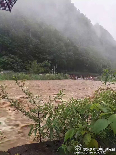 大鮑魚