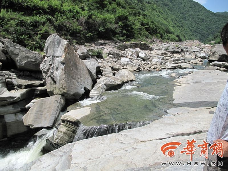小胖弟