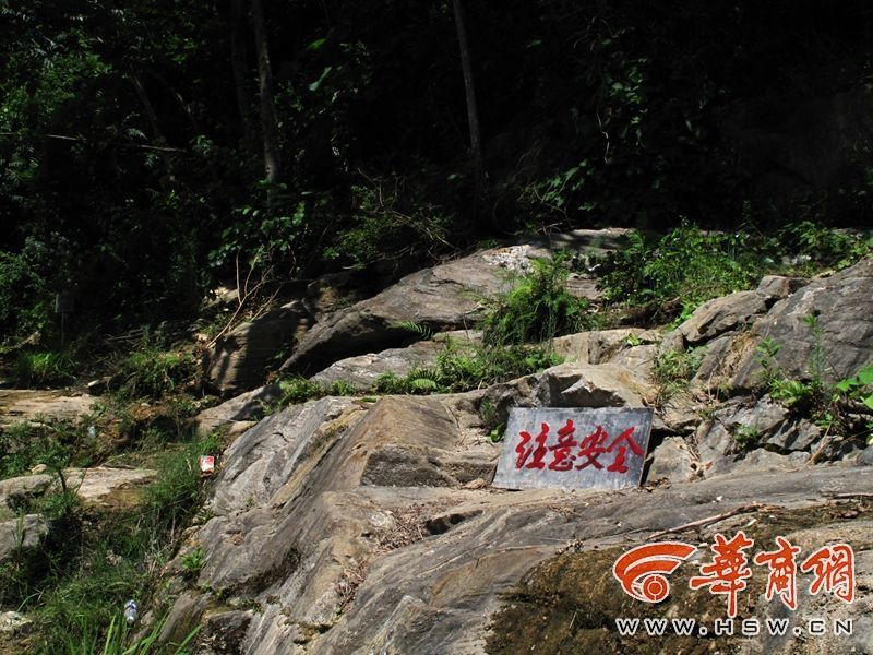 西西人体做爰大胆GOGO