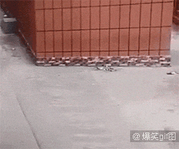 偷情黄色片