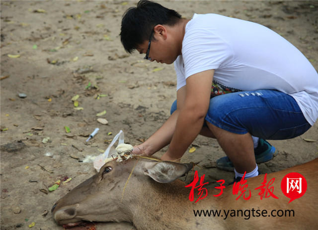老头老夫性猛交69