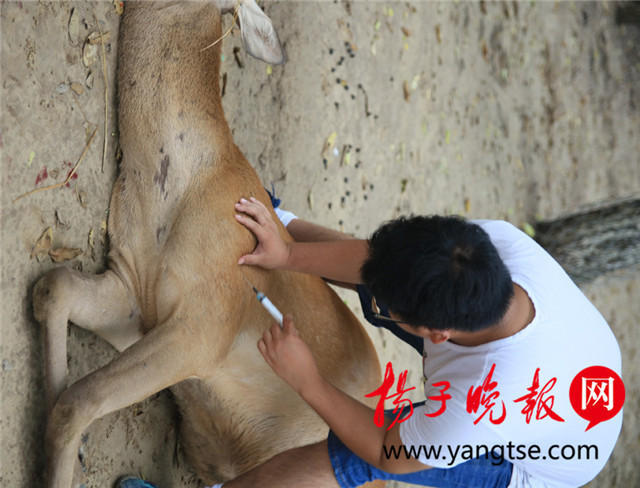 女人卫生间如厕偷窺視頻